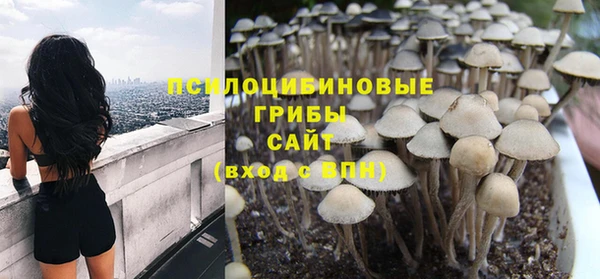 молекула духа Арсеньев