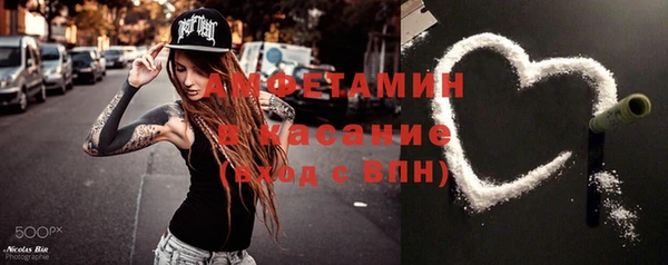 молекула духа Арсеньев